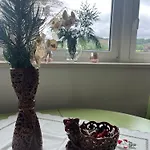 Unter Den Wolken Appartement