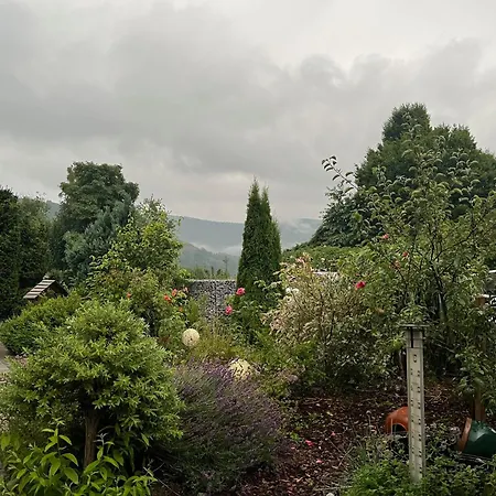 Unter Den Wolken Винтерберг