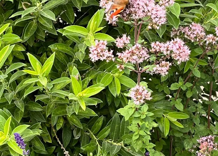 Appartement Unter Den Wolken *