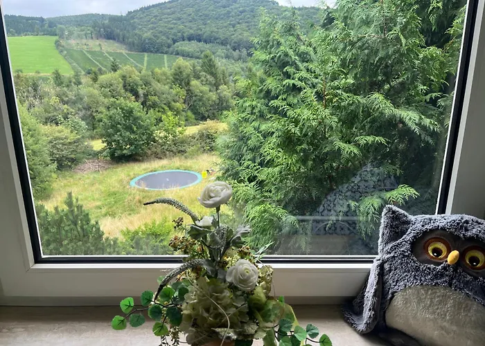 Апартаменты Unter Den Wolken